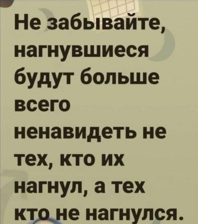 Alexander Smith (@finalsensible) on Twitter photo 