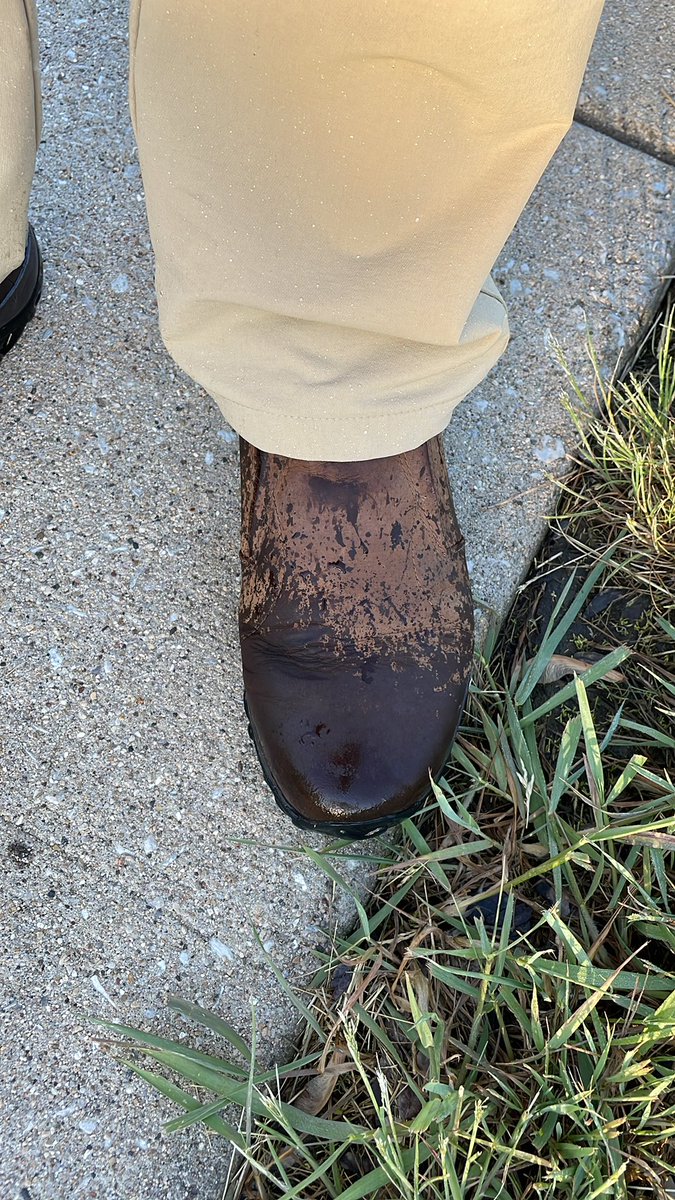 Bo Phillips tweet media