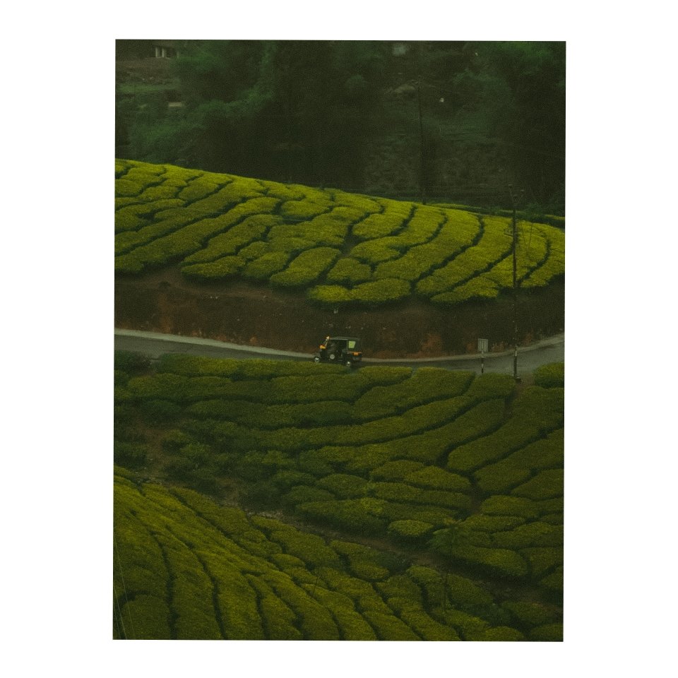 the3rdtone's tweet photo. Photographers feel free to share your green shots 
I'll retweet my favorites https://t.co/sNfFbVweqL