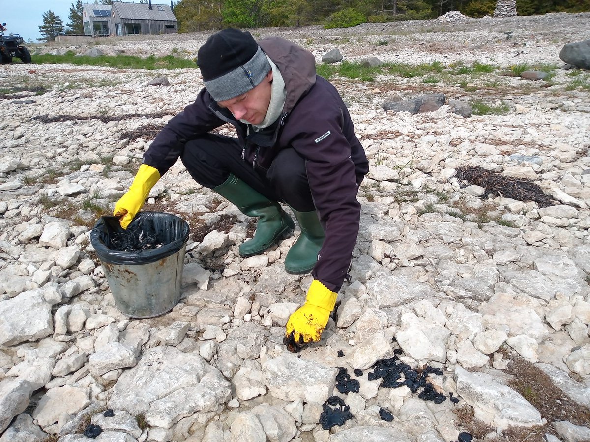 ELFond's tweet photo. Masuudireostus #Vormsi ja #Hiiumaa randades! Eelmisel nädalal avastati reostus Vormsi 20 km pikkusel rannaribal. Seda asusid koristama kohalikud ja ELFi õppinud #naftavabatahtlikud. Samasugune reostus on ka Hiiumaal, kuhu vald ootab abikäsi.
@EUROWA_EU https://t.co/WCGDgiLmHQ