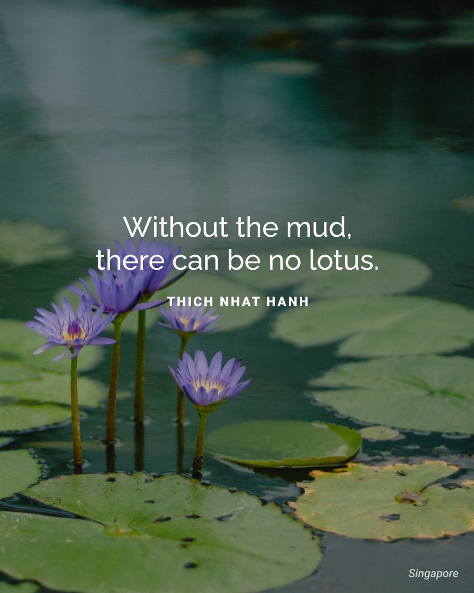 Some Monday motivation from Thich Nhat Hanh. Keep going, keep growing. 🌸🌺🌷

#AAPIHeritagemonth #AAPI #quotes #wisdom #lotus #nomudnolotus #growth #mindset #success #productivity