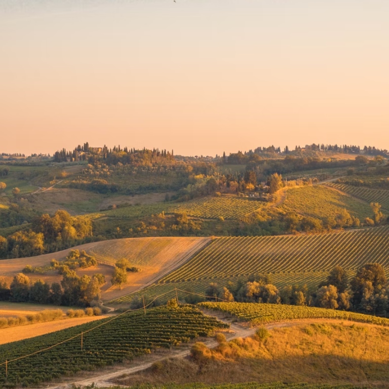 Our all natural and certified Organic bubbly wine is lovingly produced at our dedicated biodiverse Vineyard in Spain ☀️ 

With a never ending list of benefits, we knew that Organic wine was the only option for Sipful and we're so proud to be sharing it with you! 🥂 

Shop ou...