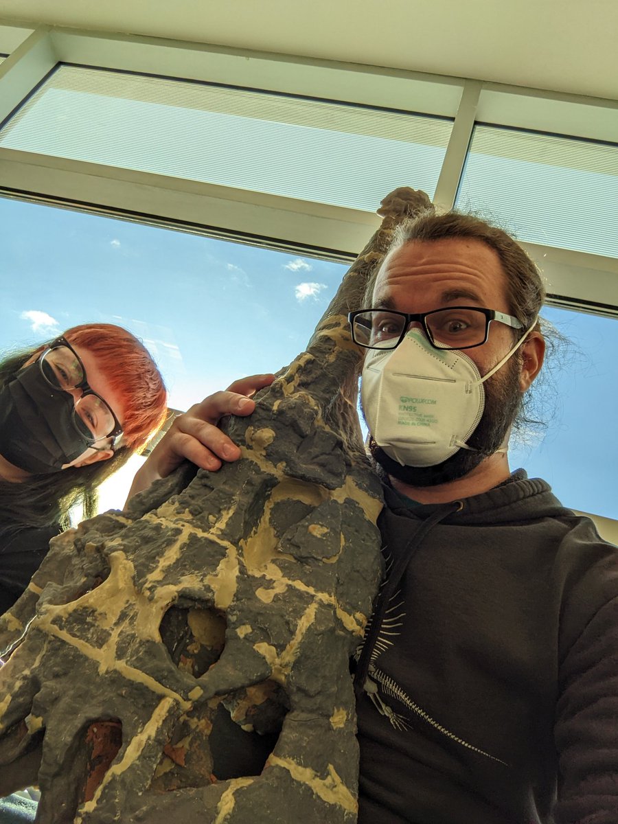 AaronKufner's tweet photo. Cross country traveling with a 3D print of #Roythephyto #phytosaur https://t.co/MXG85QwKUu