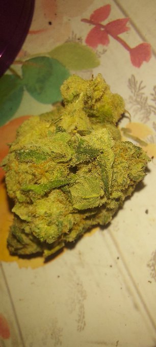 Who wants to buy me lunch? 👀 $SilverMoon232 Surprise upon sending 😘 don't miss out babe. https://t.c<a href="/tag/bdsm"class="tags"><span>#bdsm</span></a><a href="/tag/petplay"class="tags"><span>#petplay</span></a><a href="/tag/givemeyourmoney"class="tags"><span>#givemeyourmoney</span></a><a href="/tag/onlyfans"class="tags"><span>#onlyfans</span></a><a href="/tag/sw"class="tags"><span>#sw</span></a>