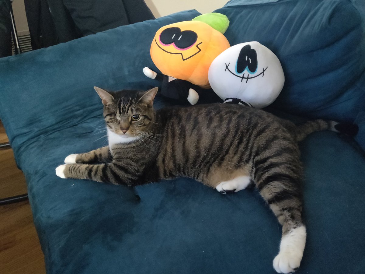 cg_omega's tweet photo. Finally, @_SrPelo_ 's Skid and Pump plushies came in and one of our fur kids got a bit curious ☺️ gonna have them with the Pelo plush later https://t.co/48bYlyS8Zx