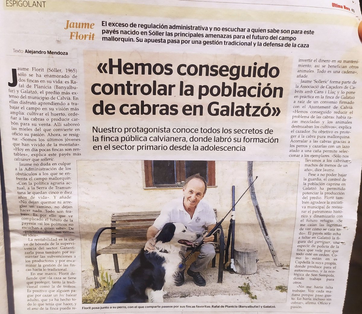 Alejandro Mendoza tweet media