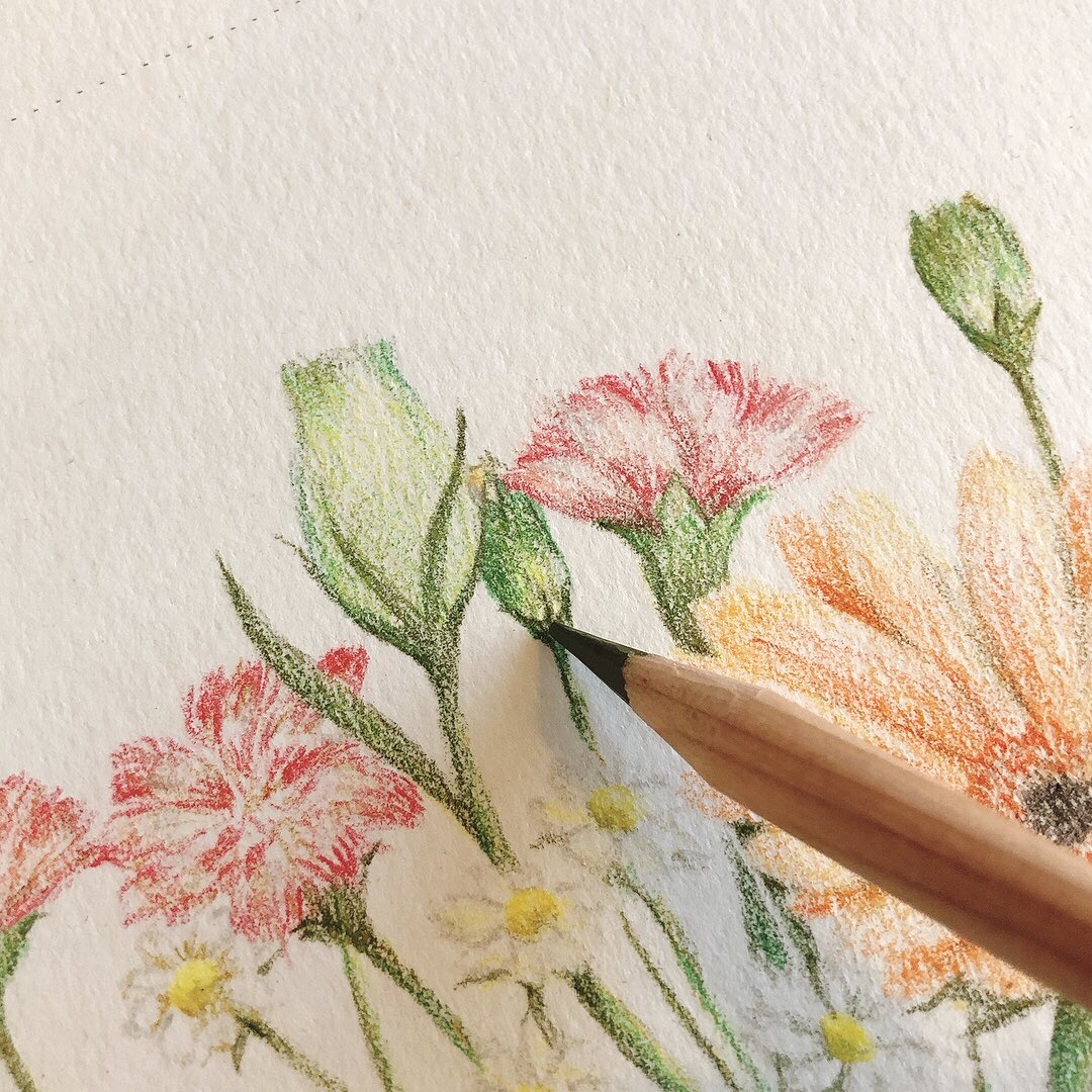 yawarism's tweet photo. เราชอบวาดดอกไม้เพราะว่ามันทำให้รู้สึกสดชื่น เมื่อก่อนส่วนมากก็วาดจากรูปเอา เปิดดูไปเรื่อย ๆ แล้วเอามาจัดเรียงในจินตนาการ แต่พอได้มาวาดจากของจริงแล้ว ได้ทั้งภาพ ทั้งกลิ่นหอม ทั้งสัมผัส ได้จัดใส่แจกันด้วยตัวเอง มันคือความสุขที่สุดเลย☺️🌷🌼🪴 https://t.co/AkkmA5OYUV