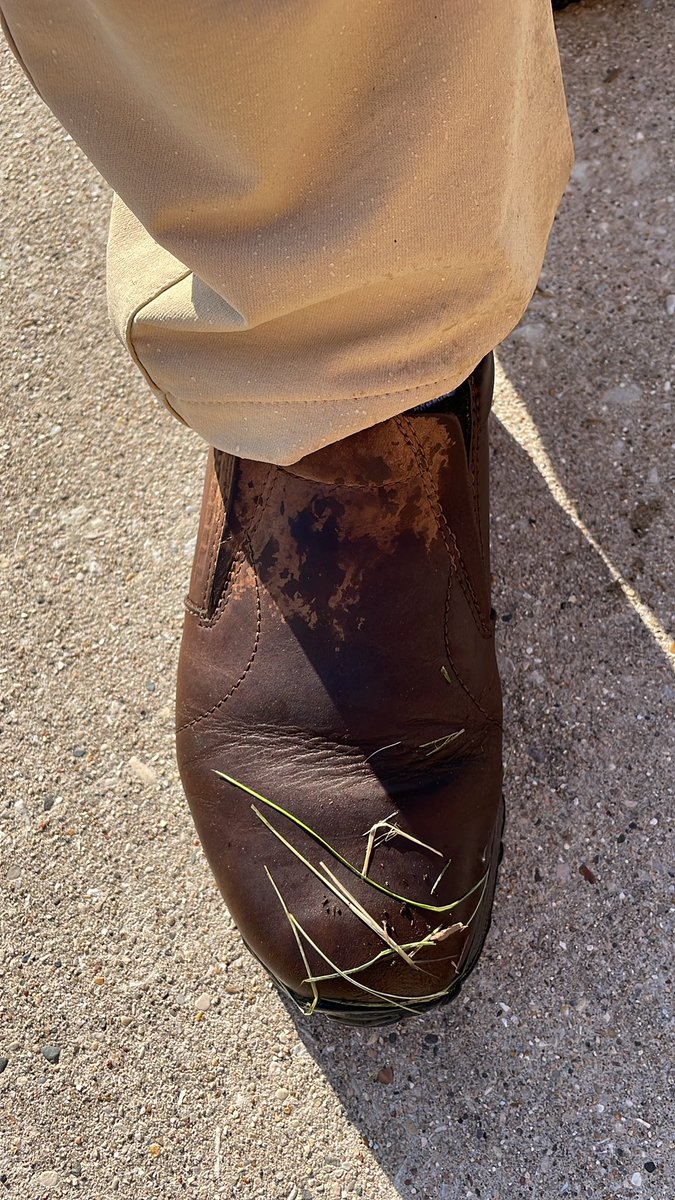 Bo Phillips tweet media