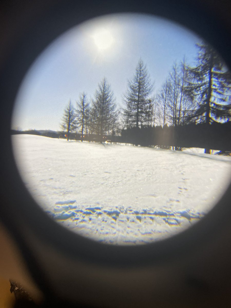 Megan Pankhurst tweet media