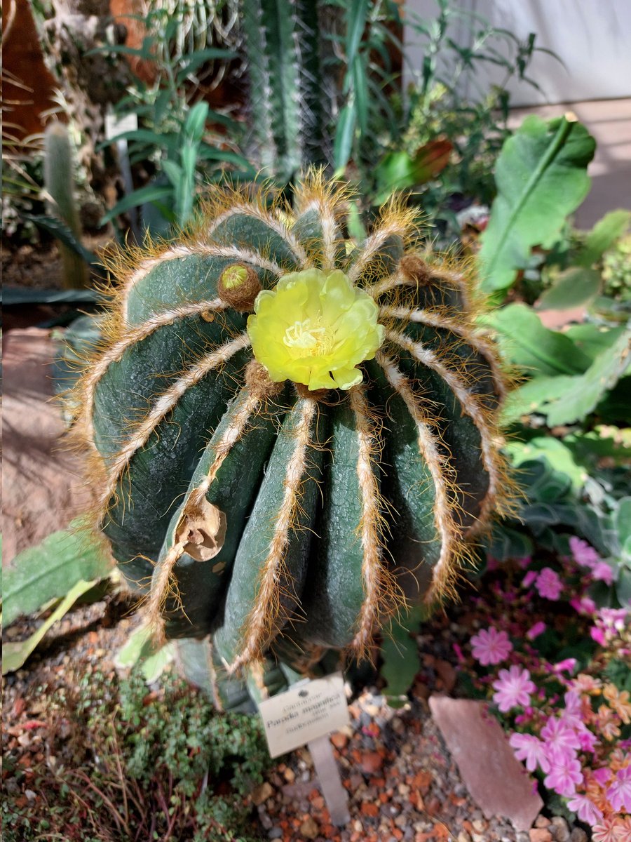 Ein paar Eindrücke aus dem Botanischen Garten