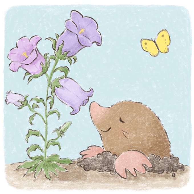 モグラ 高画質 のtwitterイラスト検索結果