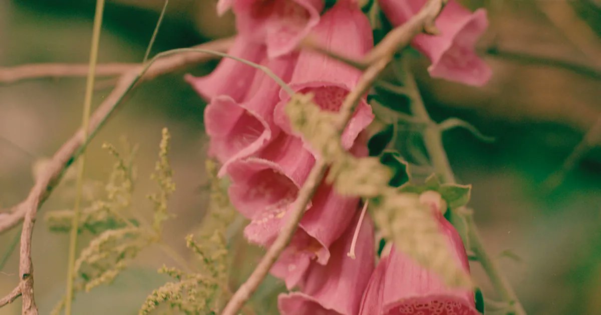 Max Ferguson navigates the memoir and fiction through image and text in his debut photobook buff.ly/3NuNrsA