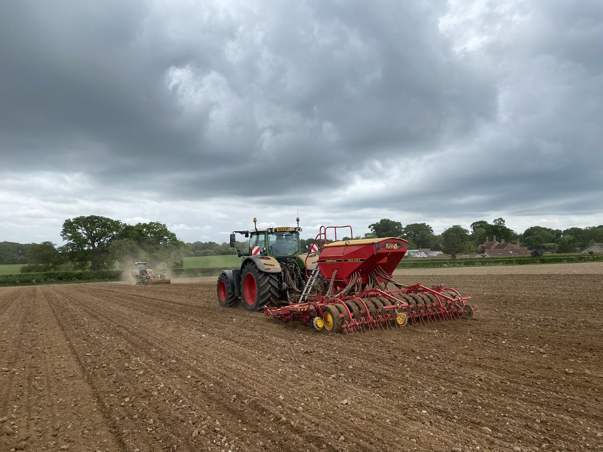 @TomYoungs87 drilling the last of their #peas for AGL close to the family home under threatening skies
