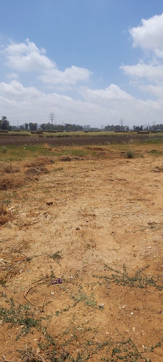 Beyond Virtual tweet media