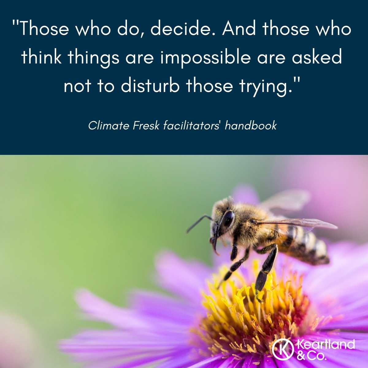 Preparing for next Monday's Climate Fresk workshop, I came across this quote and I thought it was rather wonderful.

We're in the decade of action. So, if you're more talk than action, then please don't get in the way of the people who are doing something.

#sustainablebusiness