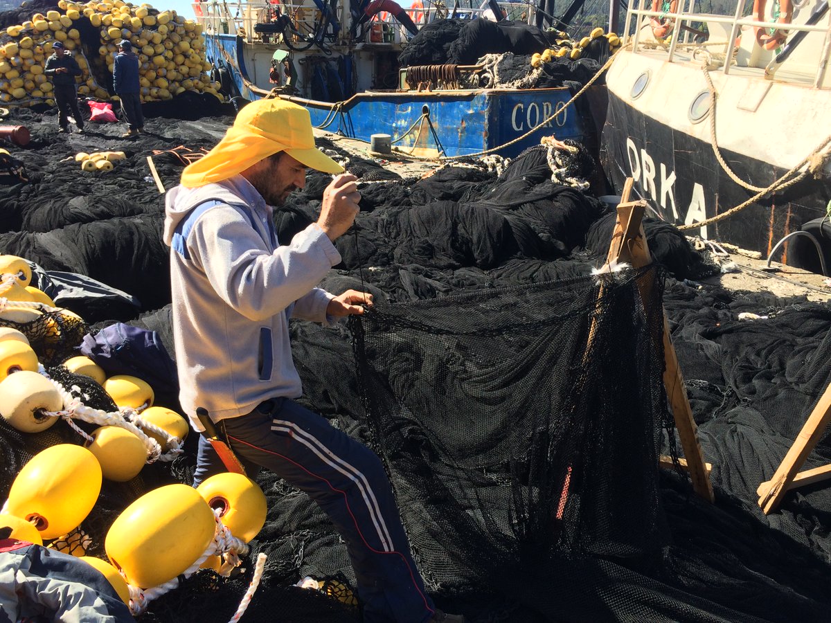 ¿ALBATROS? Nuevamente en la versión XLI del <a href="/CCM_2022/">Ciencias del Mar 2022</a> 🇨🇱🌊 Estaremos en mini-curso/taller Buenas Prácticas en Pesquerías para la #Conservación de nuestras amadas #AvesMarinas 🎣🪶🐧🚢 Viernes 27 mayo ✅
Apoyado por <a href="/MeridianIntl/">Meridian International Center</a> <a href="/StateDept/">Department of State</a>  <a href="/EmbajadaEEUUcl/">Embajada EE.UU. Chile</a> <a href="/AlbyTaskForce/">Albatross Task Force</a>