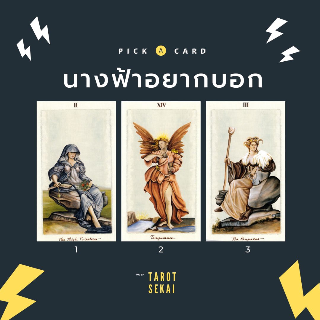 SEKAI ⚡️ tweet media
