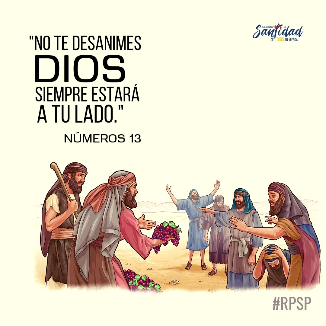 Pr_Hendrick_R_O's tweet photo. 📖 Los grandes desafíos son una oportunidad para confiar más en Dios.

📖 No tomes en cuenta las palabras de aquellos que sólo te desaniman.

📖 Si Dios lo prometió, aunque parezca difícil, lo hará. Nunca te olvides ¡Él es Dios!

#numeros13 #rpsp https://t.co/CKmIVJknyr