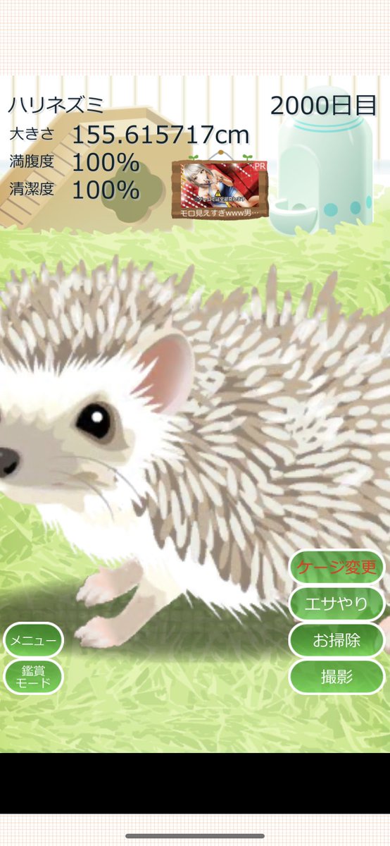 【エマ】ハリネズミケージ4つ 真空ジェシカ川北 on X: