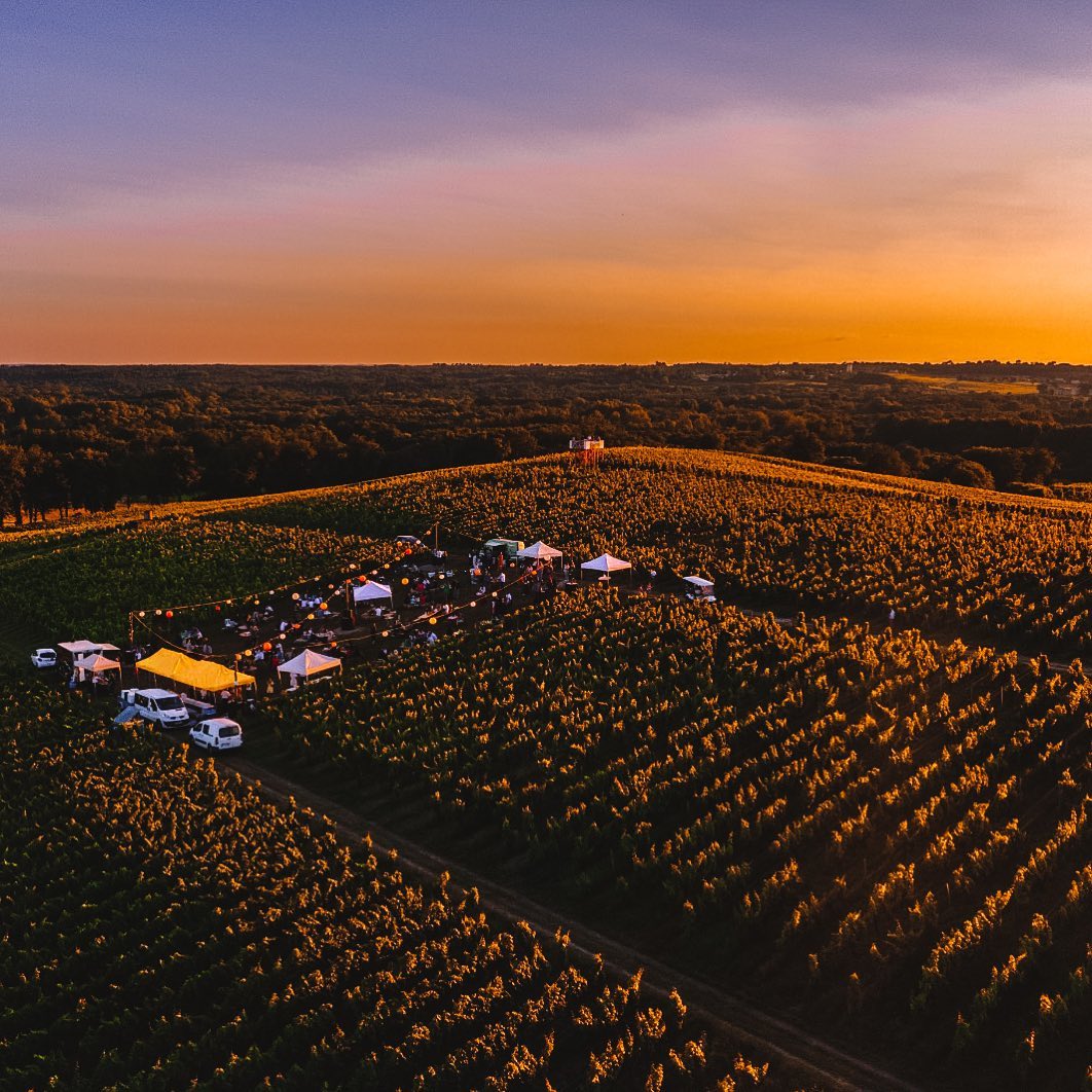 On fait quoi ce soir ? La tournée des guinguettes et terrasses de notre beau vignoble 🍇 Vous allez adorer ces décors champêtres et ces délicieux produits du terroir 😋 Notre sélection sur 👉 bit.ly/3lzvKfD Photo : Château @LaTourBlanche @Tweetpulpe