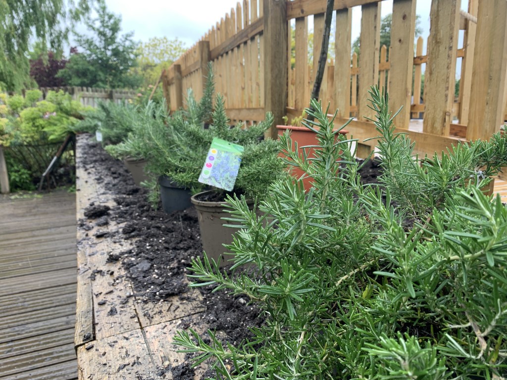 pparknewhaven's tweet photo. Despite the #rain the #gardens team are working hard to keep everything in tip top shape for your enjoyment. We are busy #weeding the #Hastings Net Garden and #planting up at the back of the Cascades! #sussex #newhaven #paradisepark #paradiseparknewhaven #paradiseparkgardens https://t.co/k6v0rcGe2N