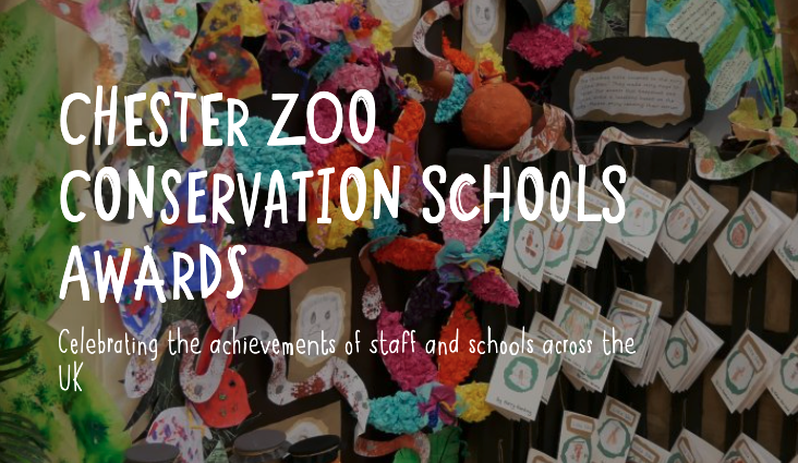 Conservation Schools Awards!

If your staff member, team or school achieved something special to do with conservation during the past couple of years, we want to hear about it.

You've got till Sunday night to nominate an educator, school or initiative 👇

chesterzoo.org/schools/cheste…