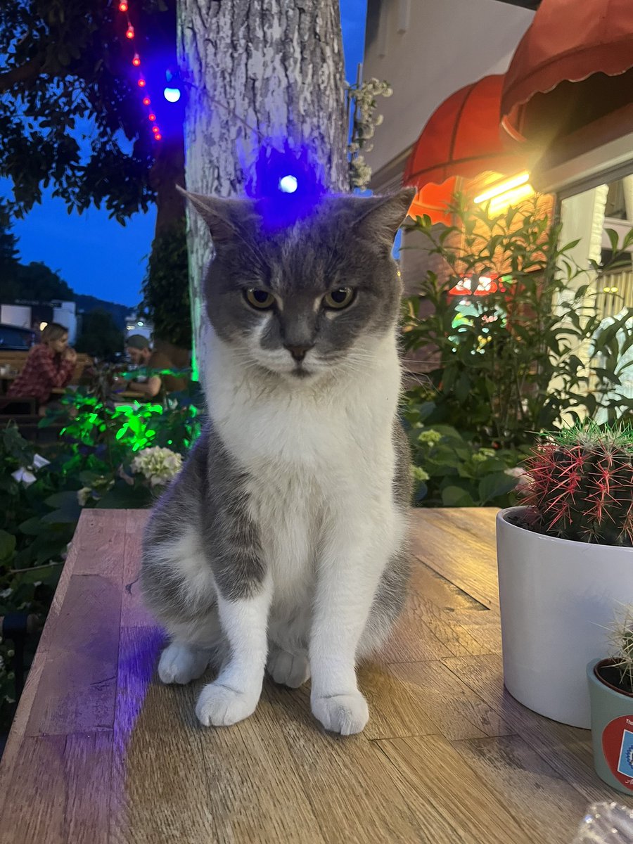 Sinir hastasi korkuyorum