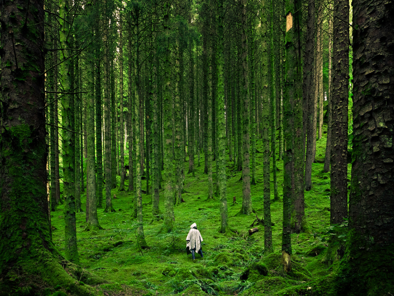 TuruhiCommunity's tweet photo. Nemophilist
It means "A person who is fond of forests or forest scenery."
#linquistics #traveling #wanderlust https://t.co/9OIMRKmhvD