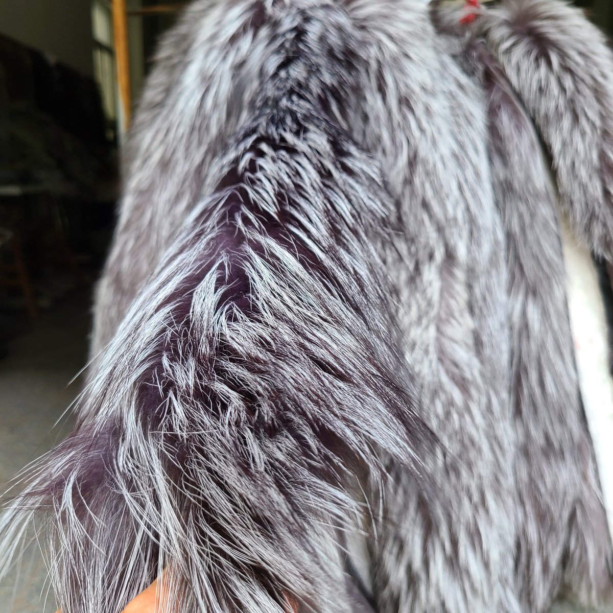 wermsin's tweet photo. New Arrival silver fox collar, import material.#collar #foxfur Visit https://t.co/8NVt0gdFxg https://t.co/Jb14OefAWA