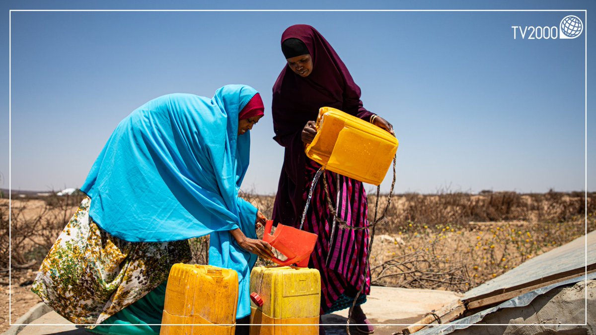 #Ucraina, il grano bloccato minaccia il mondo: rischio carestia globale. Quali saranno gli effetti della guerra sui Paesi in via di sviluppo? Siamo Noi ne parla con <a href="/ActionAidItalia/">ActionAid Italia</a>. #24maggio ore 15.15, <a href="/TV2000it/">Tv2000.it</a> #canale28 e 157 Sky. <a href="/RobSensi/">Roberto Sensi</a> <a href="/BarbaraAnton73/">Barbara Antonelli</a>