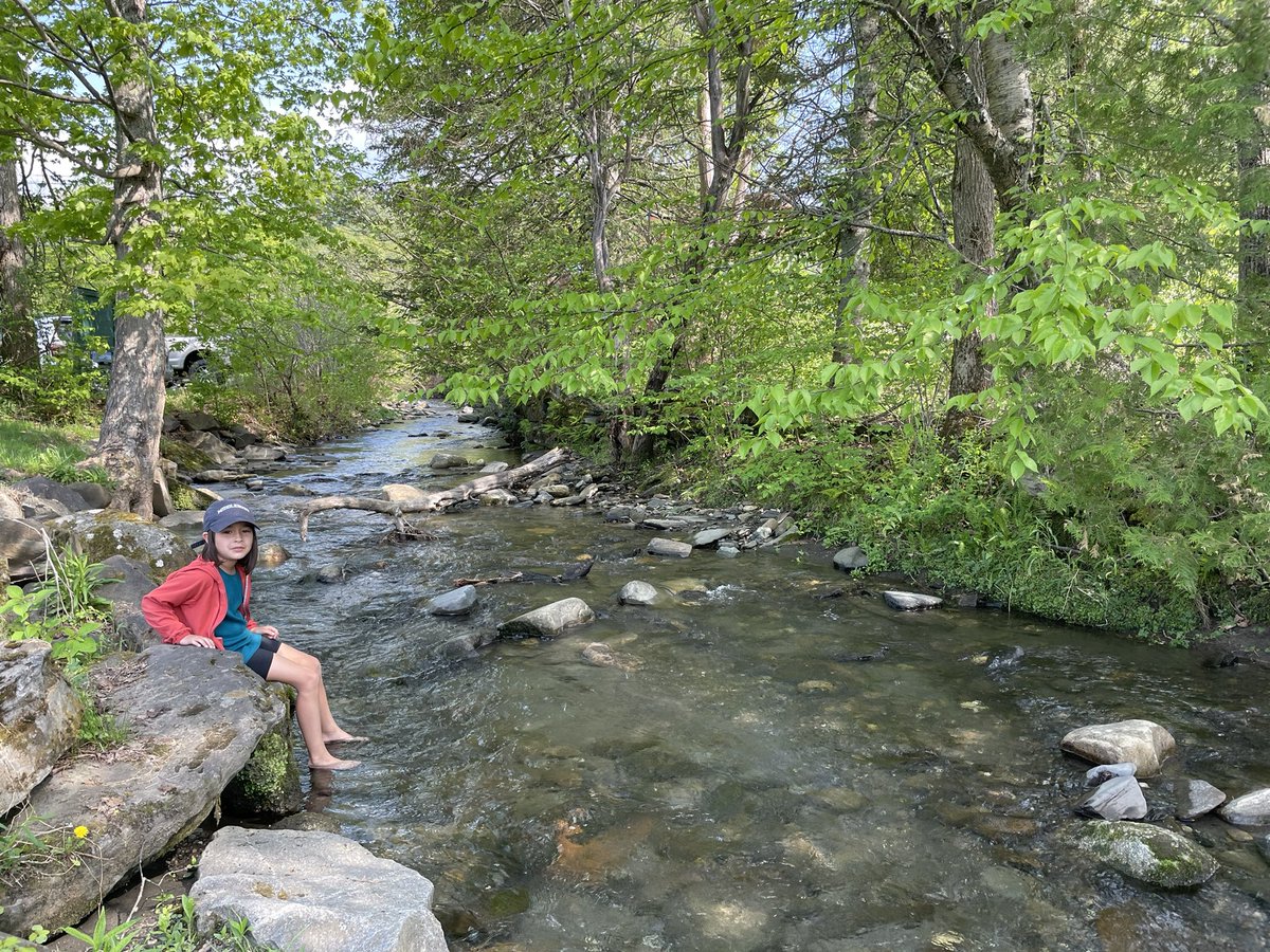 BrettSimison's tweet photo. Sure, in #VT you often have to drive 1.5 hrs one-way for a 1 hr soccer game, but sometimes you’re rewarded with a lovely little creek running alongside the field for a post-game cool down. https://t.co/9RjC0DM5mp