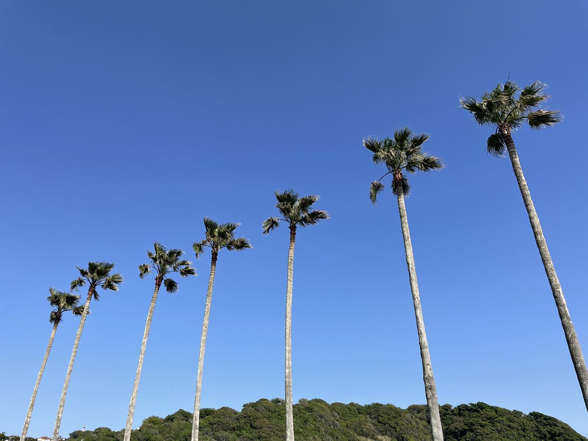 _honokayamamoto's tweet photo. 最近の休日🫧 https://t.co/HCdo6AHpEj