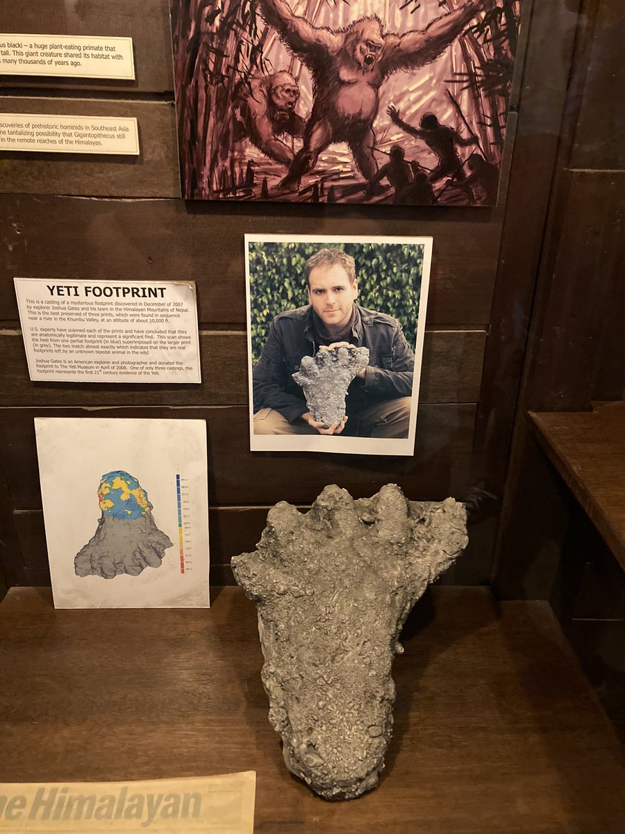 KeithWoolley9's tweet photo. @joshuagates Look who I saw while riding Expedition Everest today https://t.co/2FzOF3FPWs