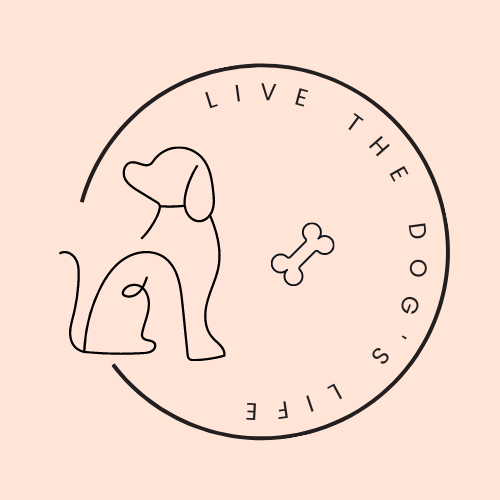 LiveTheDogsLife's tweet photo. So excited to announce we’ve done a bit of rebranding. Not only that…something very exciting is on its way very soon! Here’s a clue - what does the new logo remind you of? Guess what’s coming? Comment guesses below! #livethedogslife #excitingnews #somethingbig #dogsofuk #dogs https://t.co/0EyKxYD3ZO