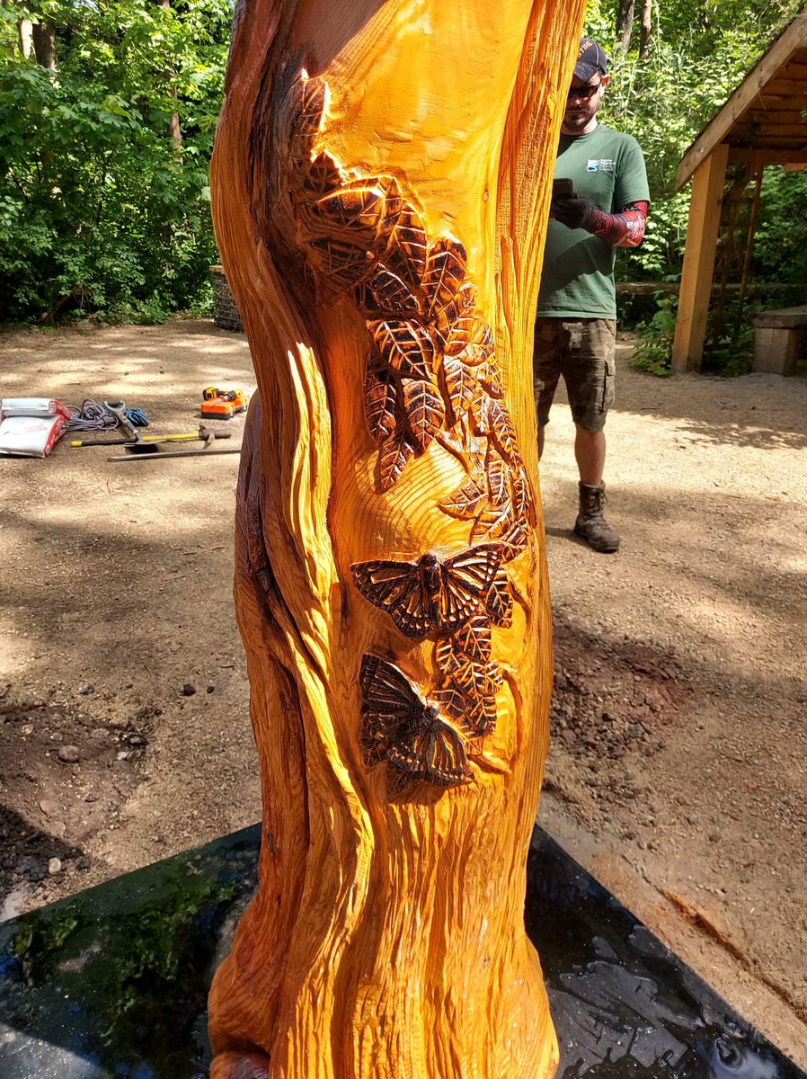 North Norfolk District Council tweet media