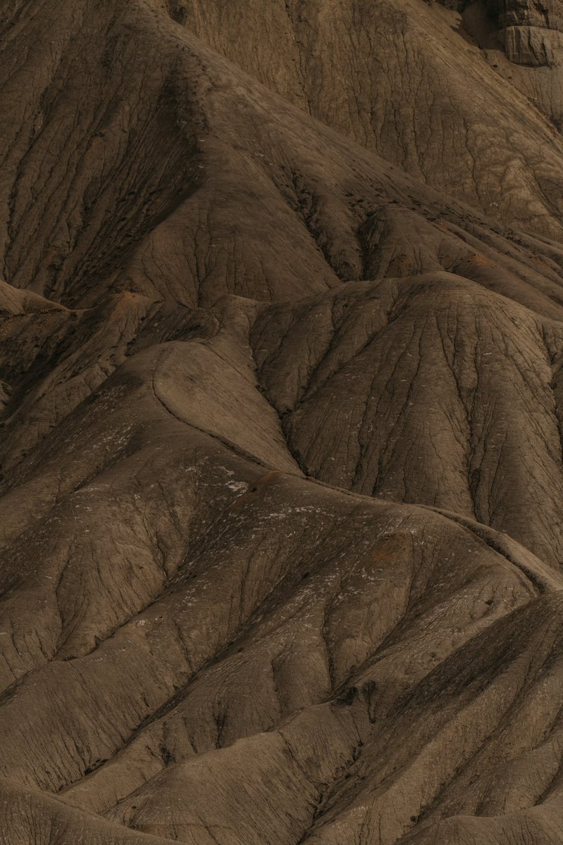 vicandreozzi's tweet photo. Portraits of a Dune #sanddunes #nikonphotography #photographer #colorado • @NikonUSA https://t.co/bv8Aqf6tXr