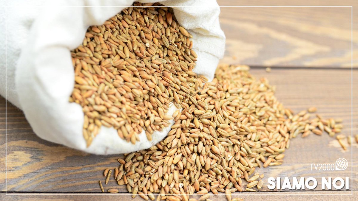 #Grano, blocco export: raddoppiata la popolazione mondiale a rischio fame. <a href="/ActionAidItalia/">ActionAid Italia</a>, non si ferma, continua il suo lavoro al fianco dei più deboli. 

#24maggio ore 15.15 in diretta su <a href="/TV2000it/">Tv2000.it</a>. #siamonoi #actionaid <a href="/RobSensi/">Roberto Sensi</a> <a href="/BarbaraAnton73/">Barbara Antonelli</a>