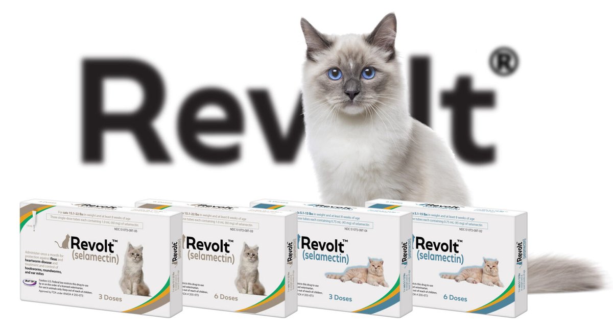 Fleas and ticks don’t stand a chance against our client, Revolt Topical! They’ve been protecting furry friends from pests for years, and we’ve loved pup-porting their message through an effective social media and SEO strategy.