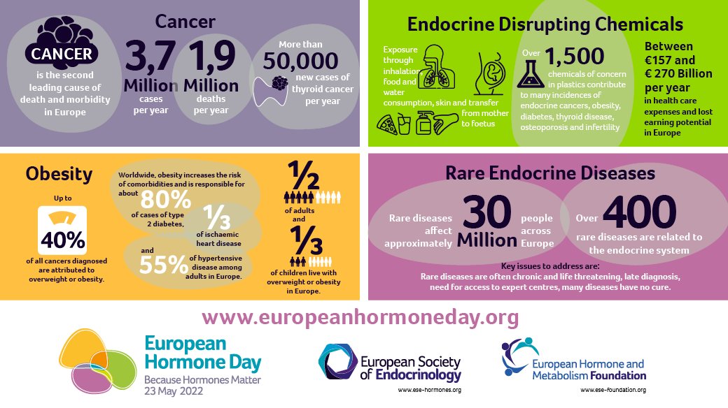ESEndocrinology's tweet photo. #Hormones are biological messengers that travel throughout the body, telling our cells and tissues what to do. Learn more about hormones and the challenges endocrine disorders bring to the #European population 
#BecauseHormonesMatter
#EuropeanHormoneDay
#endocrinology https://t.co/qDraJm6Fn9