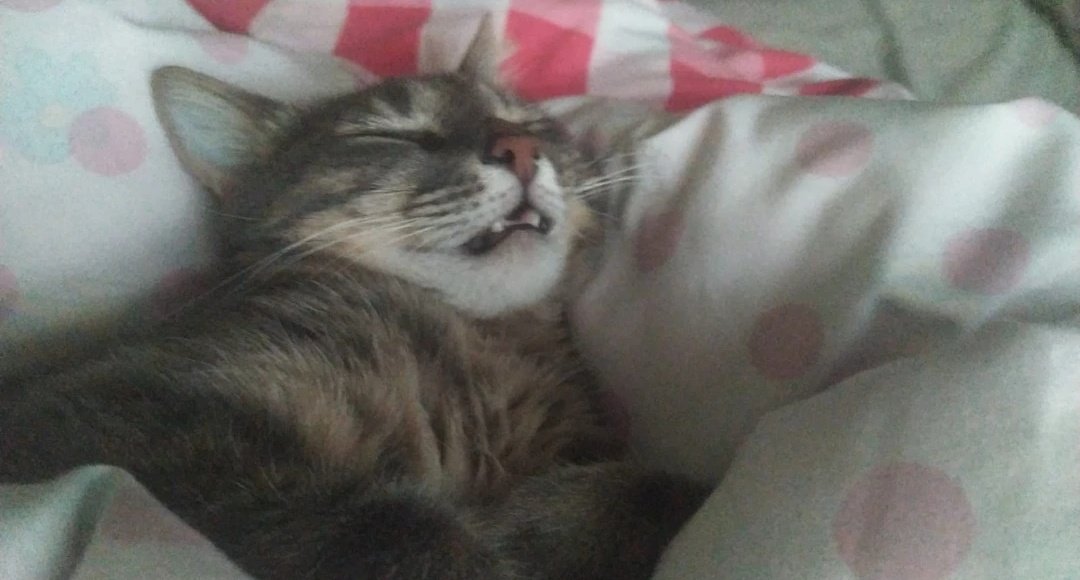 Manita : ne güzel uyuyosundur sen şimdi prensesler gibi
Bne: