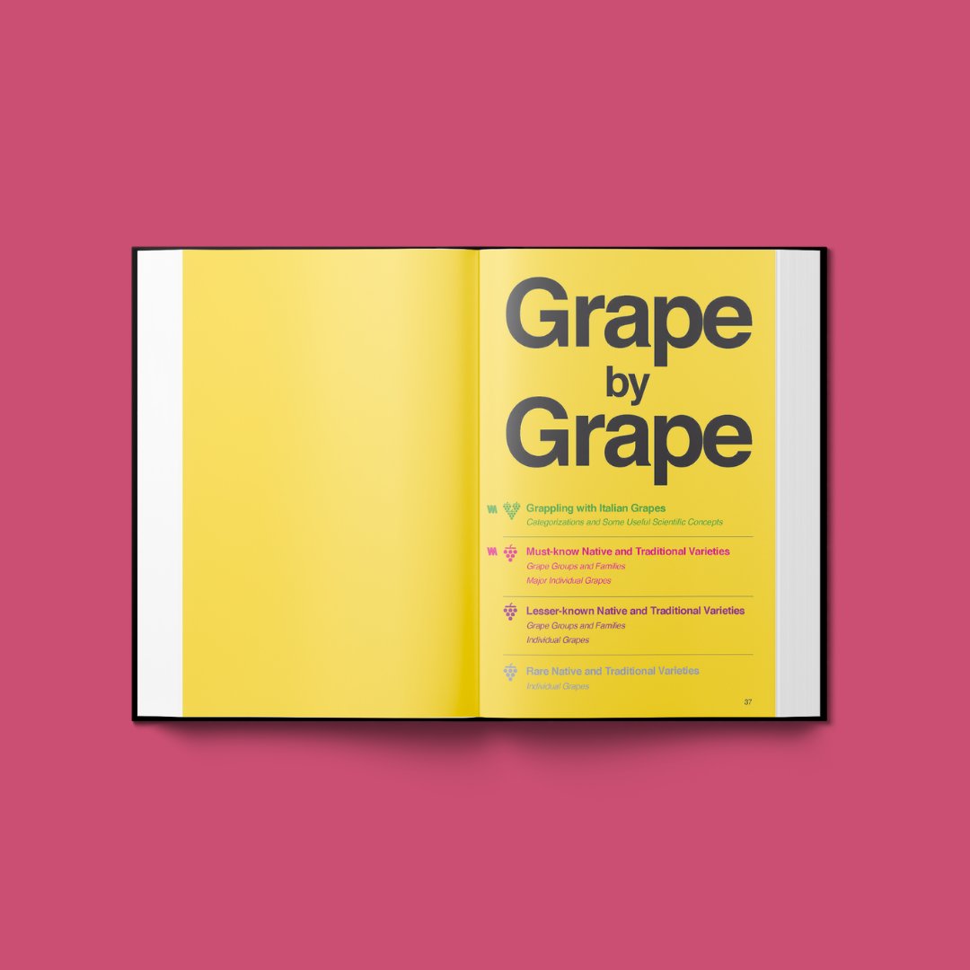 ItalianWineBook's tweet photo. Everything you need to know about Italian wine!
Get your hand on the Italian Wine Unplugged book, check the link in bio 🍇
#italiangrapes #GrapeByGrape #WineBook #Italianwines #WineAndSpirits #wineeducation #winelover https://t.co/ZWKJhiPJeS