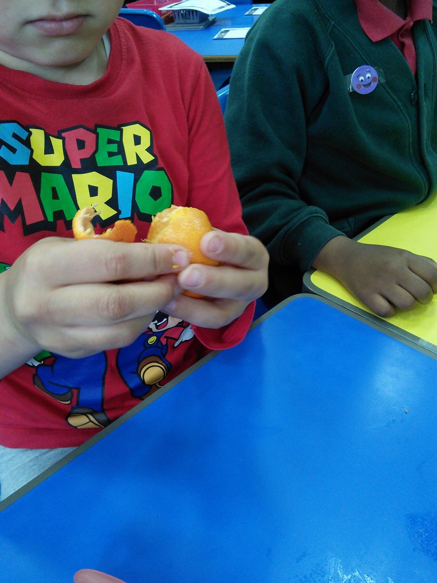 MrsRyans_class's tweet photo. We designed and made fruit salad today in YPC.
We used knives and peelers to prepare the fruit. https://t.co/5ygkmm11s9