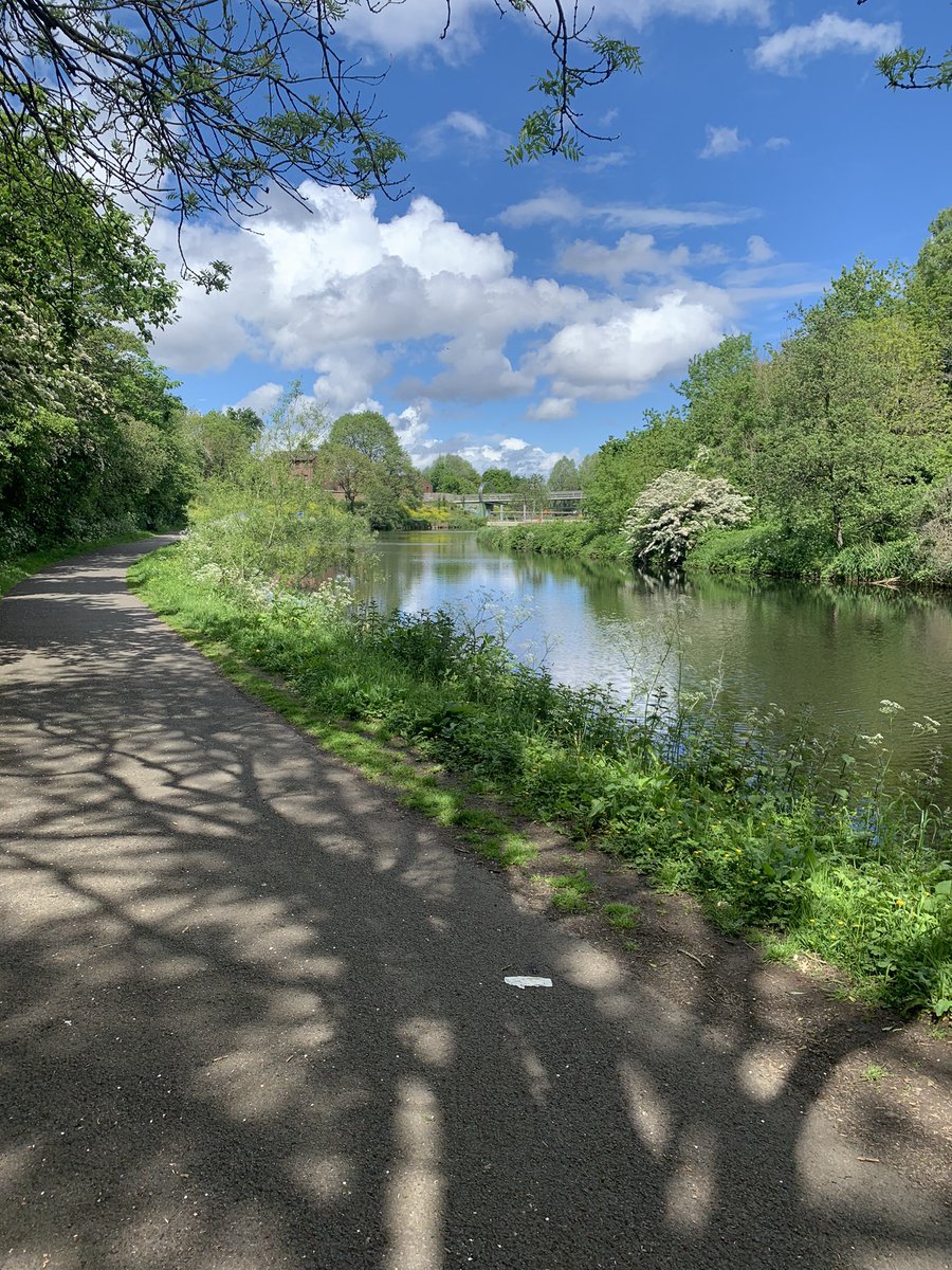 AdrianMcCourt's tweet photo. I’d a free 20 minutes between online meetings and decided to take a quick walk. How good is it to have this on the doorstep. #Belfast #Lockview https://t.co/A1eDjT5UeG