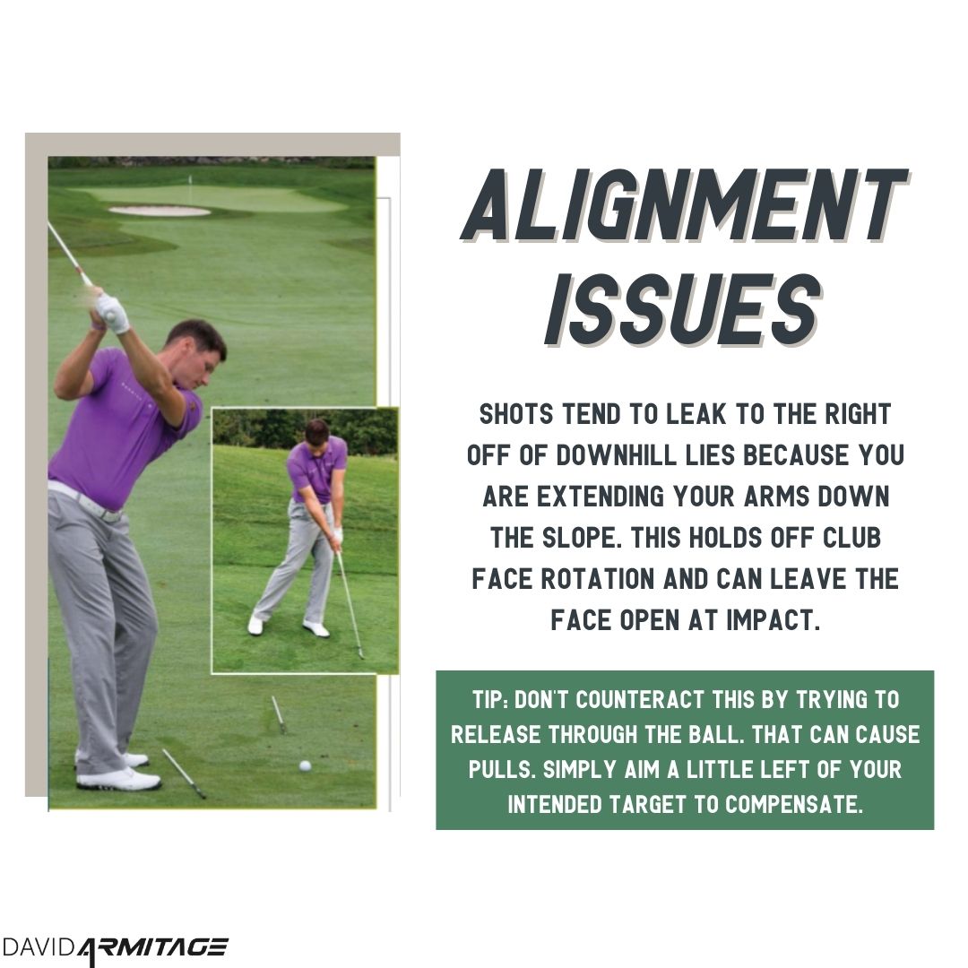 David Armitage tweet media