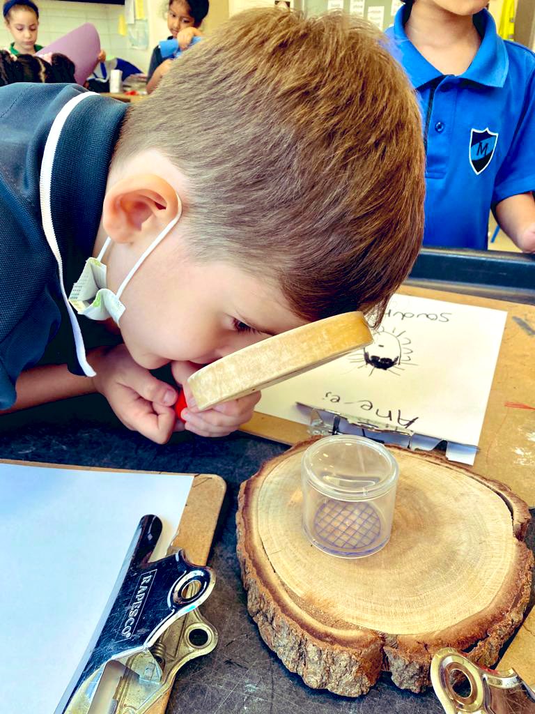 MTSFS_Gemma's tweet photo. Today one of the classes found a spider, this prompted some interesting questions followed by observational drawings. #inthemoment #eyfs #mtsstudents #AgileAlligators #HPL #community https://t.co/SocBDyI431