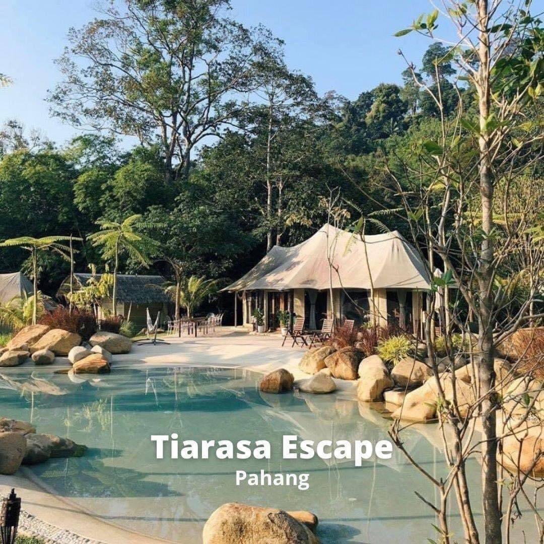 Cuti2KakiTravel's tweet photo. Top Rated Glamping Places In Malaysia 🏕🌳🌳

Memang naisssss ✅ https://t.co/rGnRL6wPyx