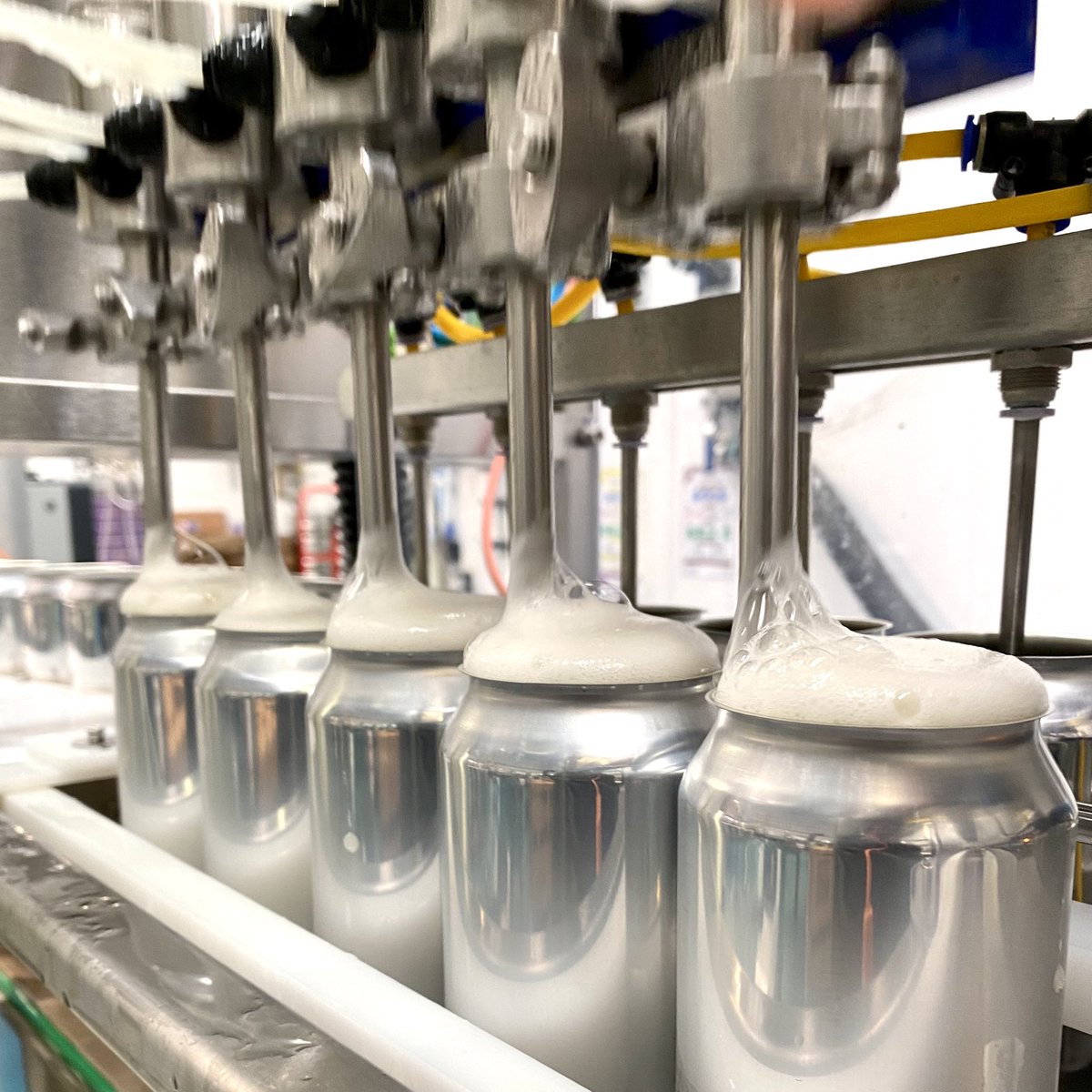 newtownparkbrew's tweet photo. 𝕄𝕒𝕪𝕓𝕖 𝕋𝕠𝕞𝕠𝕣𝕣𝕠𝕨 back on the canning line 𝕋𝕠𝕕𝕒𝕪 😄 You folks are really loving our house pale, we’re only just about keeping up! 😧

#craftbeer #paleale #citra #simcoe https://t.co/9b8sS6ao4W