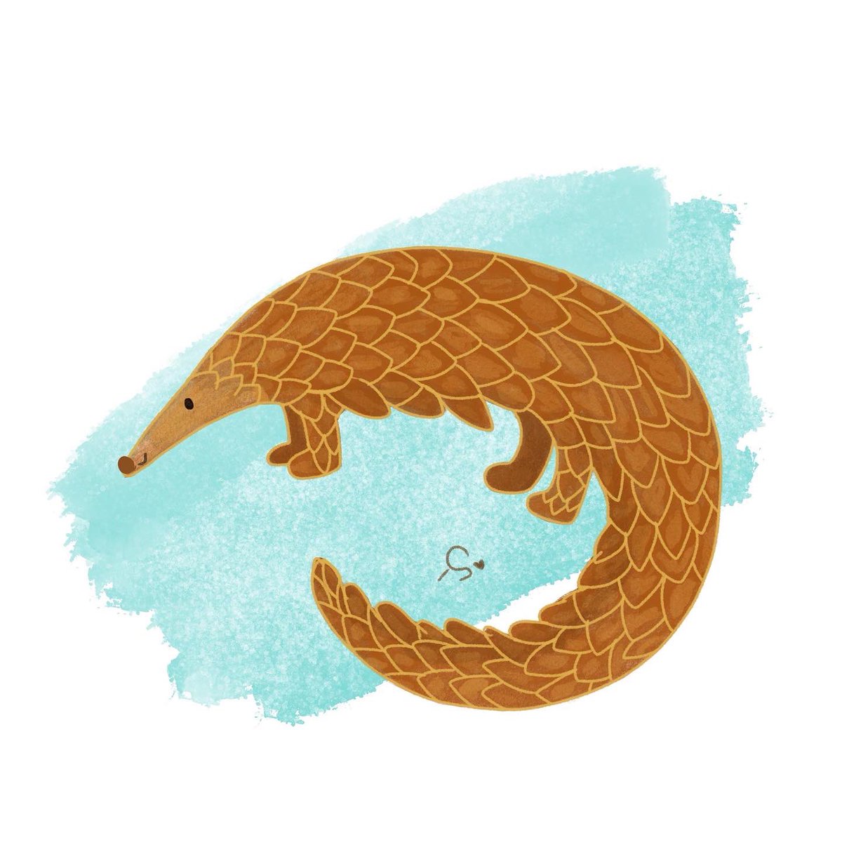 shwetadesigns_'s tweet image. Pangolin!

 #pangolinart #savepangolin #pangolinconservation #CuteAnimals #cuteillustrations #characterdesign #ArtistOnTwitter #digitalart