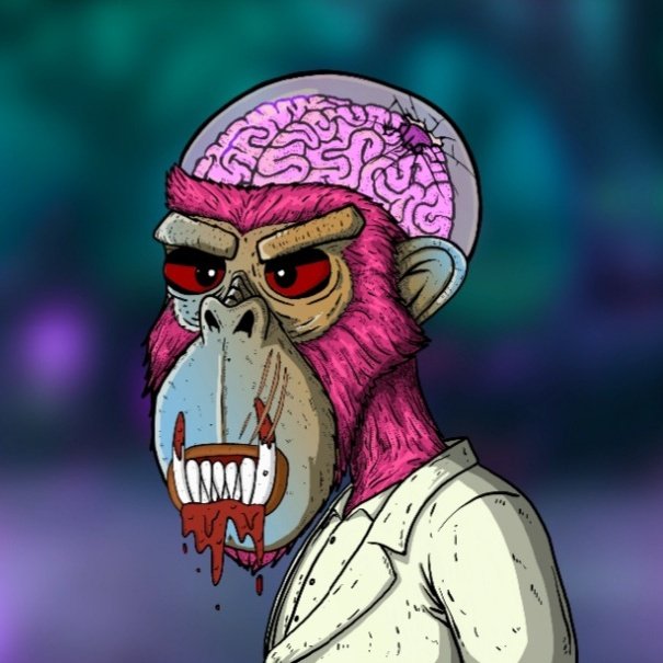 GriffK8's tweet photo. @RaritySniperNFT Ready for the gen 2 mint as well ๐ #braindeadmonkey #crofam #braindead @BDMNFT_ @Rick_BDM https://t.co/WLQG7ZXJFu