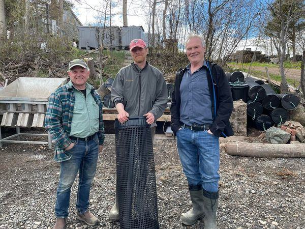 SteveCraigNS's tweet photo. Thanks Philip Docker and Ernie Porter for sharing the ShanDaph Oysters aquaculture farm experience on Big Island, Merigomish.
Nice to get on the water to see some of the operation and innovation firsthand last Monday.
https://t.co/zsPjZe9TMC https://t.co/IGApaLTuAM
